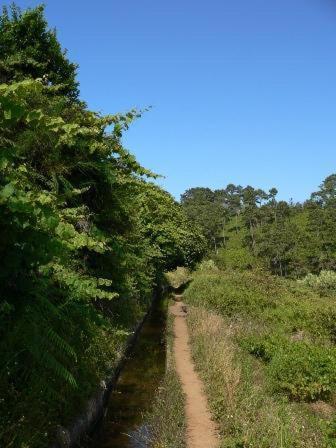 Colina Da Faja Villa Faja da Ovelha Bagian luar foto